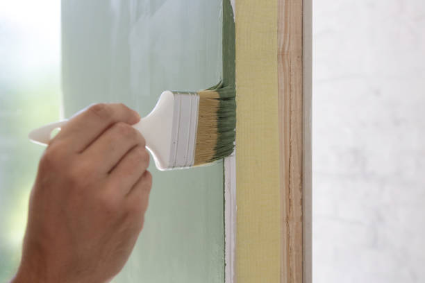 Best Basement Mold Removal  in Athens, IL