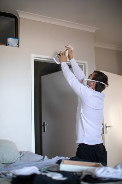 Reliable Athens, IL Mold Removal Solutions