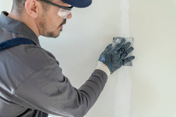 Best Post-Remediation Verification Testing  in Athens, IL