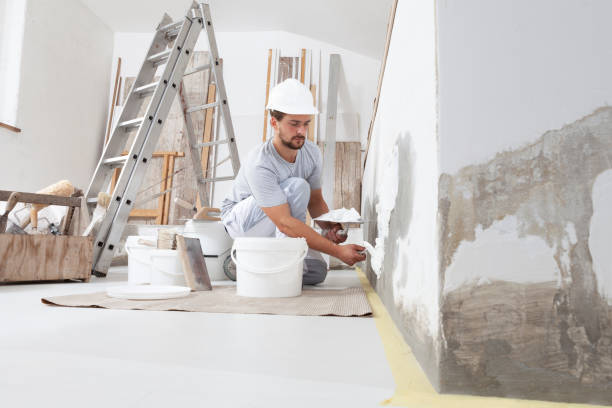 Best Asbestos and Lead Testing During Mold Inspection  in Athens, IL