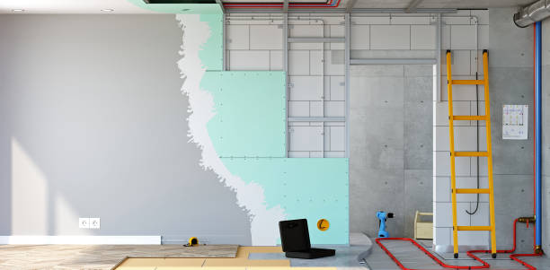 Best Attic Mold Removal  in Athens, IL